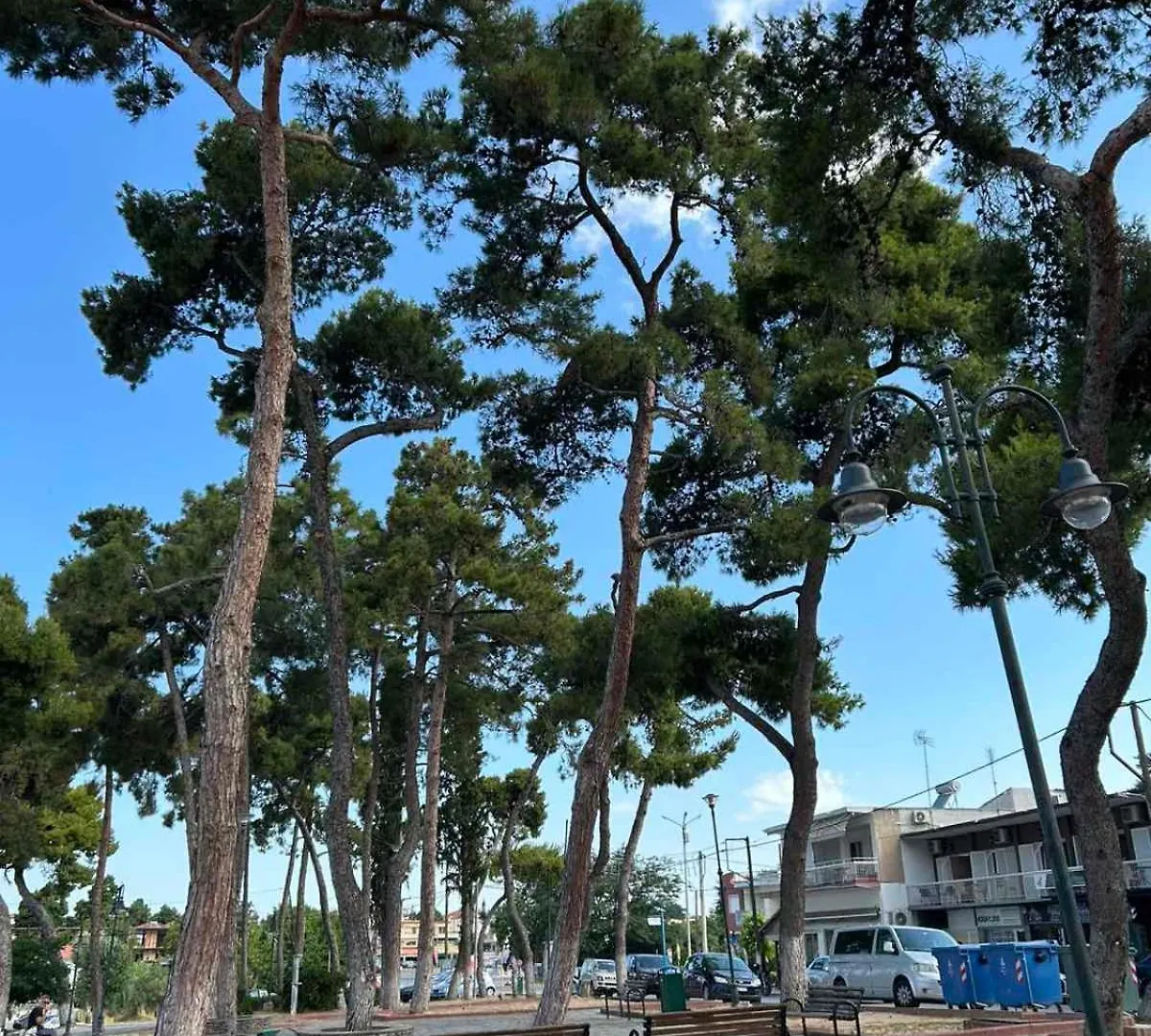 شقة Nea Michaniona Dona Apartman